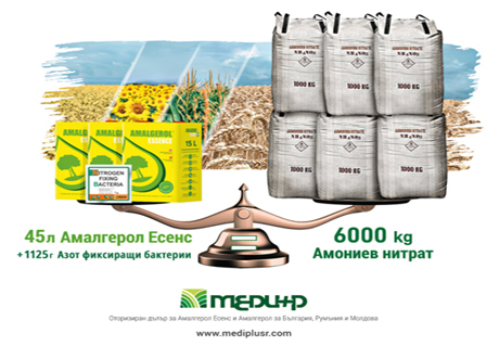 Amalgerol2024-01