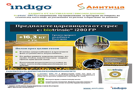 Amitica2024Jan26-1