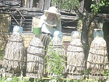 BaiYordan1