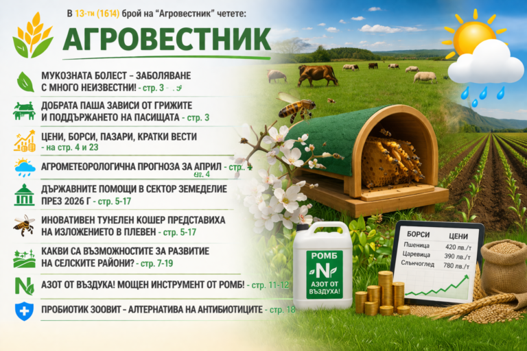 ChatGPT Image 7.04.2026 г., 10_31_20 ч.