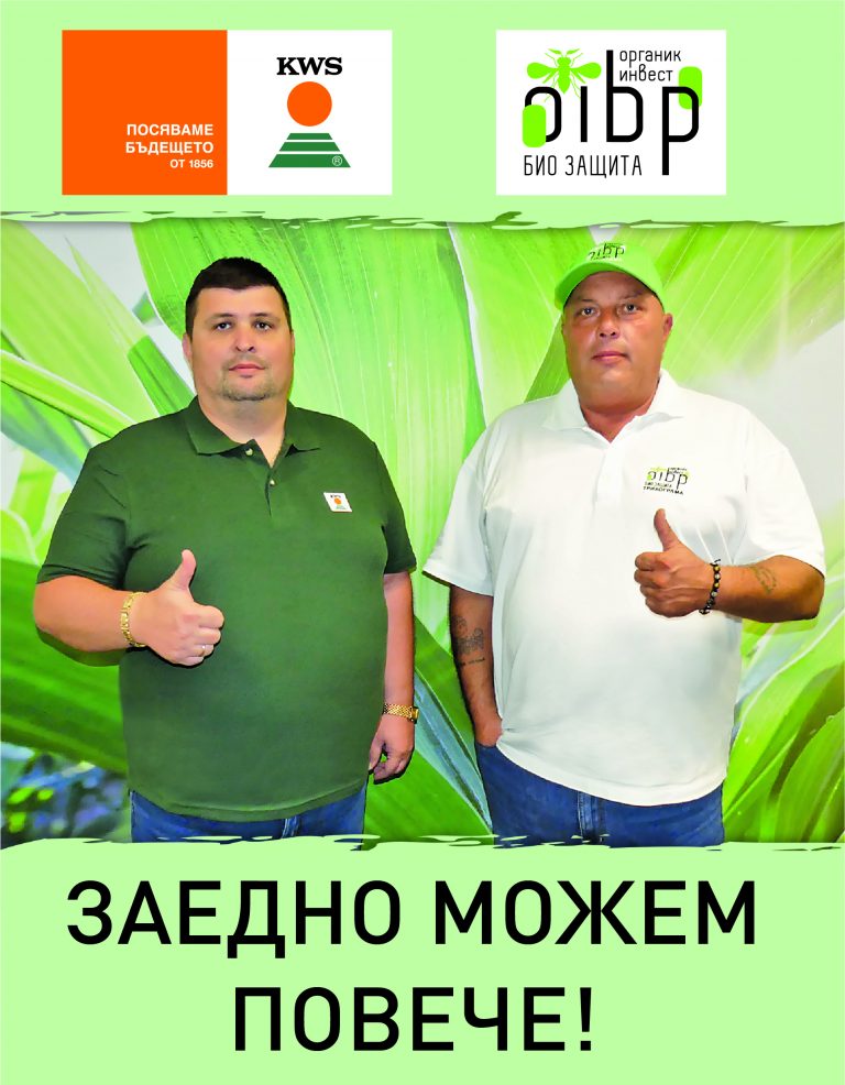 Cover 10