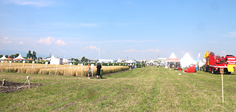 DLG2018juni20