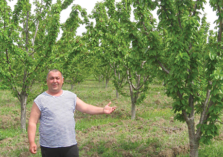 DimRajnov1