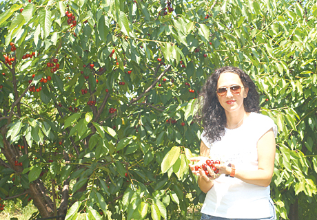 DivaAgro2019-1