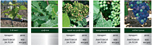 Ecofol01