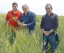 Ecofol1