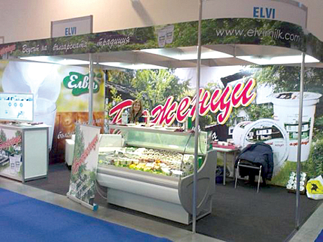 Elvi1
