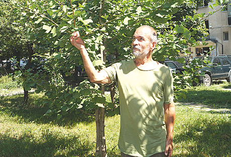 GinkoBiloba2019-01