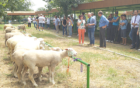 IldeFrance2018juni20