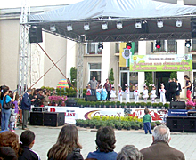 Jajce1