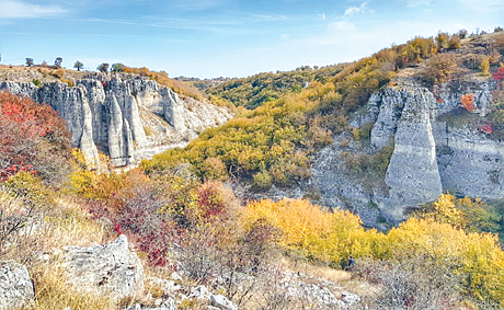 Lili2019sKamenoPole1