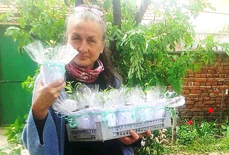 Lili2021Limoni1