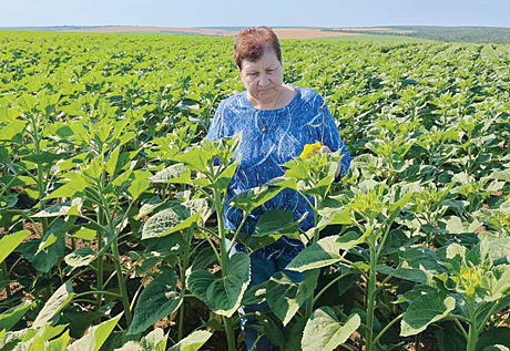 Lili2024VelikaSlavova