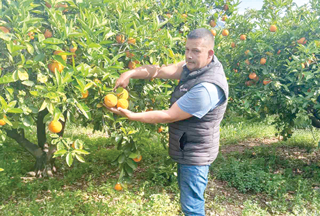 Lili2026CitrusiIspania1
