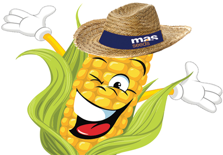 MASS2020Fevr25