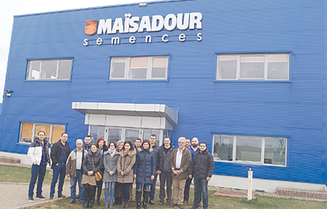 Maisadur2017-01