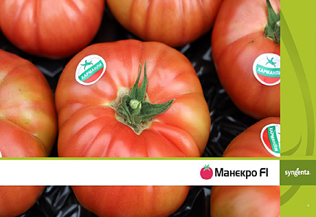 Manekro1