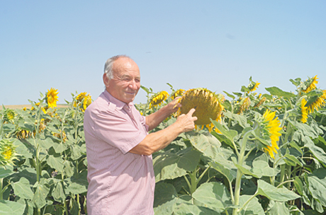 PetkoNikolov2021-1