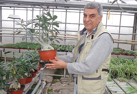 Plantava2020-1