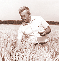 Rachinski01