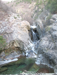 Ravninec1