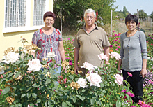 SlivoPole1