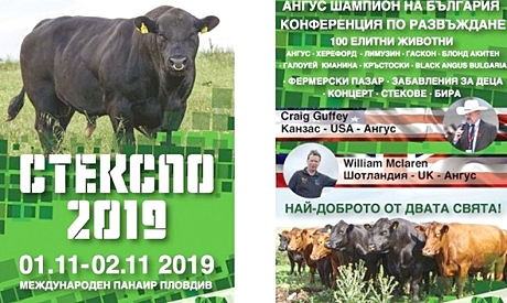 Stexpo2019