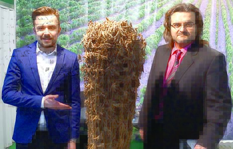 TopSeed02