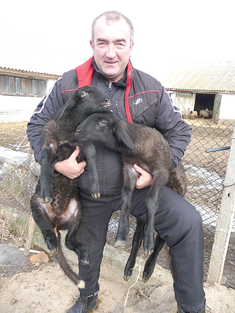 VSrebchev1
