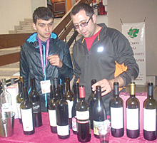 VinoBalk1