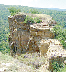 sizvor02