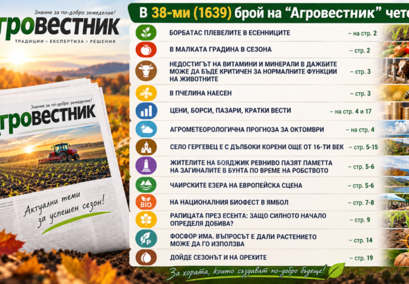 Агровестник_ Есенен земеделски обзор